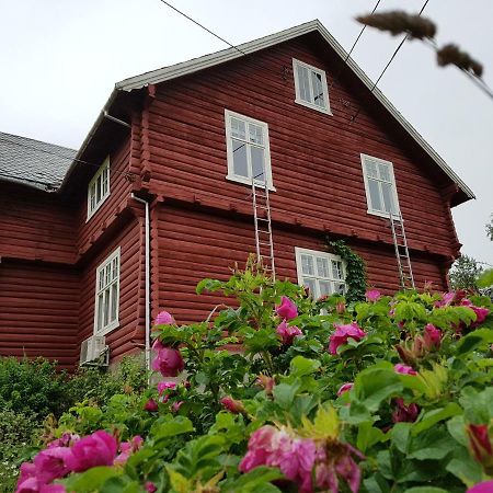 Haugtun Gardspensjonat Og Leiligheter Nordre Land Luaran gambar
