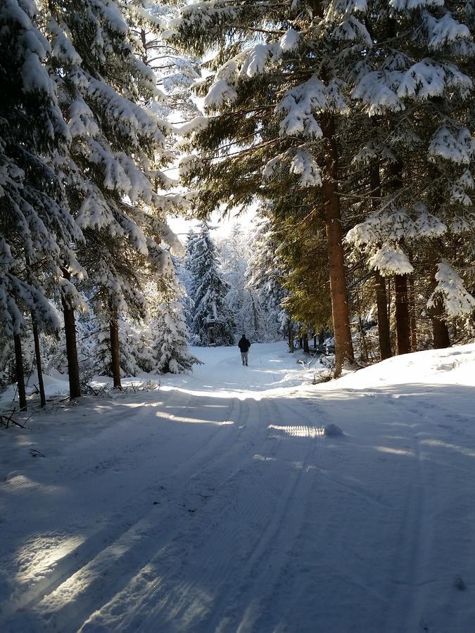 Haugtun Gardspensjonat Og Leiligheter Nordre Land Luaran gambar