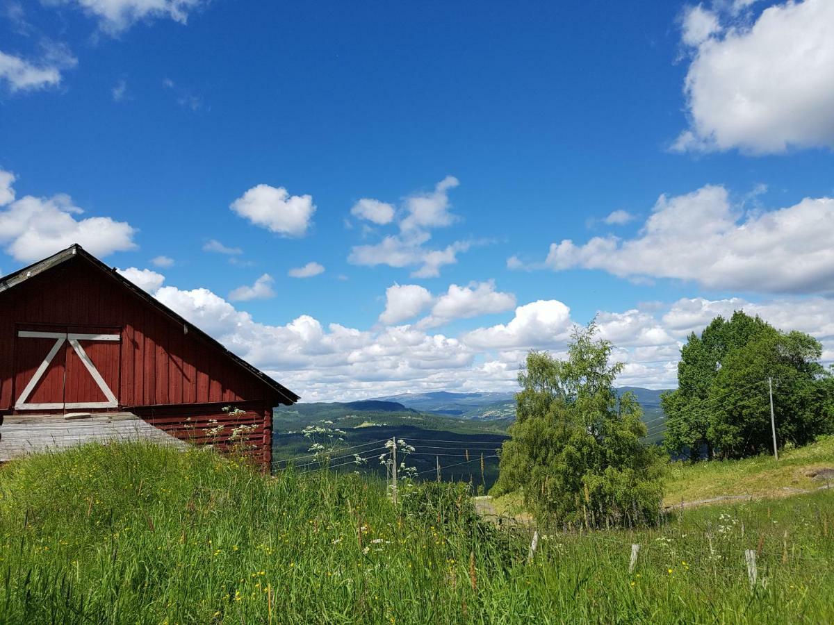 Haugtun Gardspensjonat Og Leiligheter Nordre Land Luaran gambar